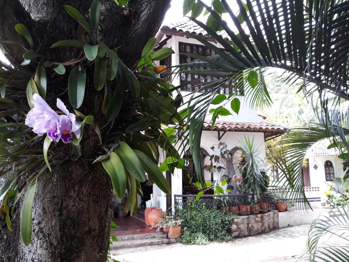בית הארחה ריברה 	Casa Constantino מראה חיצוני תמונה